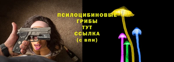 PSILOCYBIN Белоозёрский