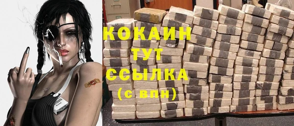 крисы Белокуриха