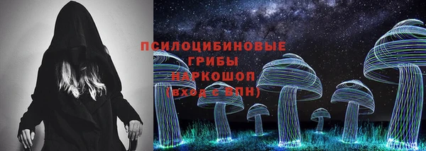 PSILOCYBIN Белоозёрский