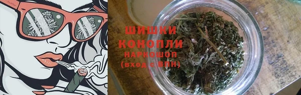 крисы Белокуриха