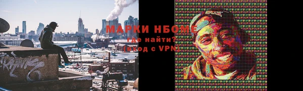 крисы Белокуриха