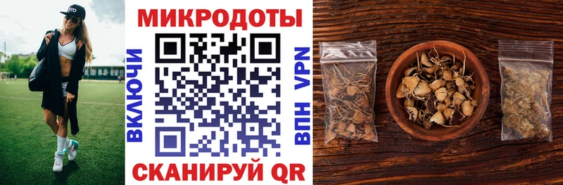 Псилоцибиновые грибы Psilocybine cubensis  ссылка на мегу как войти  Закаменск 
