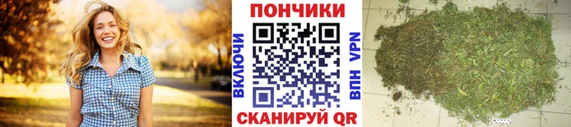МАРИХУАНА ГИДРОПОН  Закаменск 